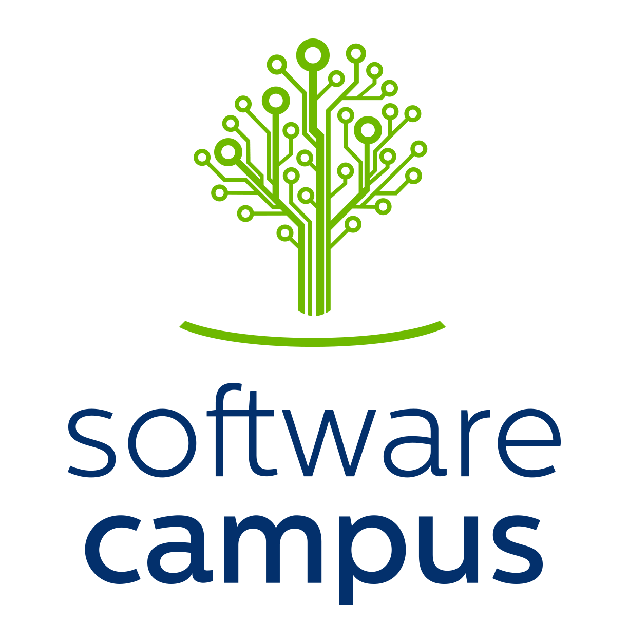Towards entry "Three Researchers from Our Chair Selected for the Software Campus"